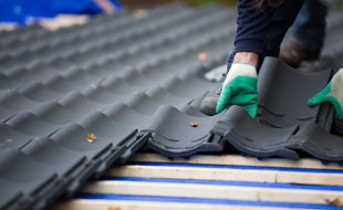 简介极速电竞比分网